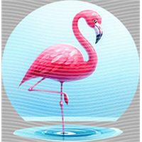 Animal Integration-DW 1681